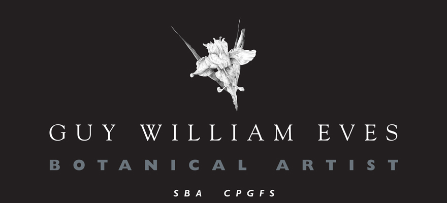 Guy William Eves - Botanical Artist